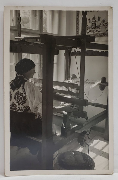 TARANCA SASA TESAND LA RAZBOI , FOTO. ORIG. J. FISCHER , SIBIU , CARTE POSTALA , 1938