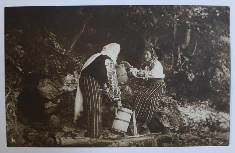 TARANCI CU ULCICA LA IZVOR , FOTOGRAFIE TIP CARTE POSTALA , COLECTIA A . BELLU , MONOCROMA, NECIRCULATA , INCEPUT DE SECOL XX