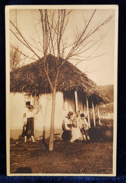 TARANCI TORCAND LANA PE PRIDVORUL CASEI , CARTE POSTALA ILUSTRATA , MONOCROMA , NECIRCULATA , PERIOADA INTERBELICA