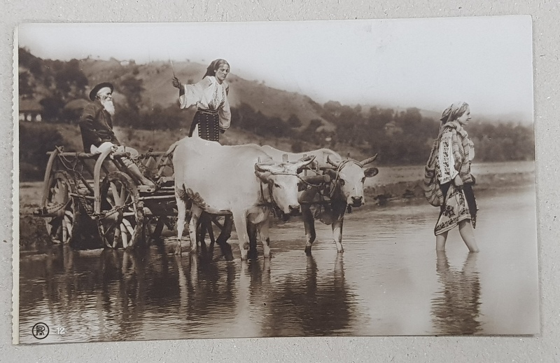 TARANI CU CARUL CU BOI TRECAND RAUL  - FOTOGRAFIE TIP CARTE POSTALA , COLECTIA A . BELLU , MONOCROMA , NECIRCULATA , PERIOADA INTERBELICA