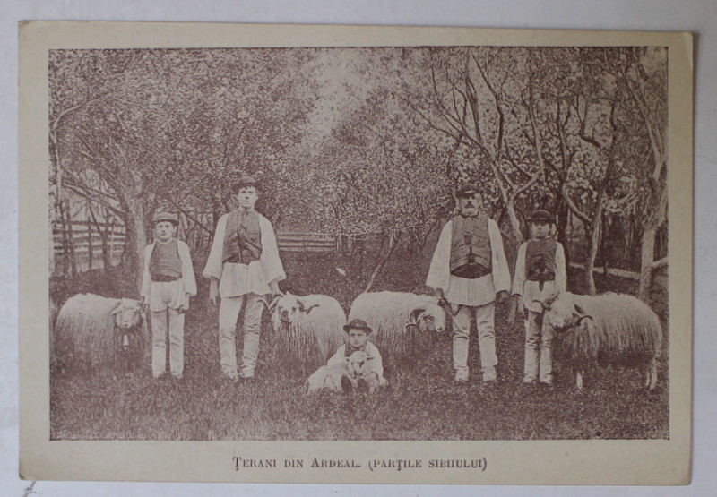TARANI DIN ARDEAL , PARTILE SIBIULUI , CARTE POSTALA , INCEPUT DE SECOL XX