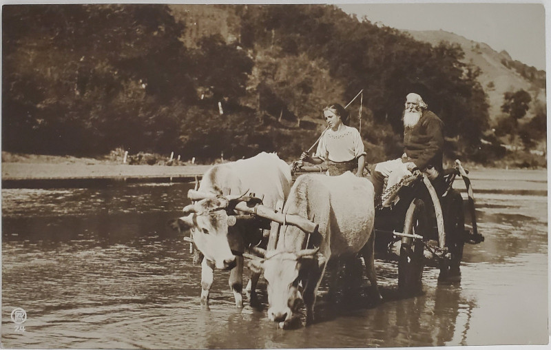 TARANI IN CAR CU BOI , LA TRECEREA UNEI APE , COLECTIA A. BELLU , CARTE POSTALA ILUSTRATA , INTERBELICA