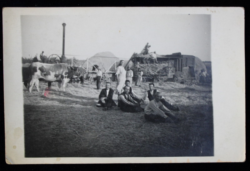 TARANI ODIHNINDU -SE LANGA BATOZA DE GRAU , FOTOGRAFIE TIP CARTE POSTALA , MONOCROMA, NECIRCULATA , PERIOADA INTERBELICA