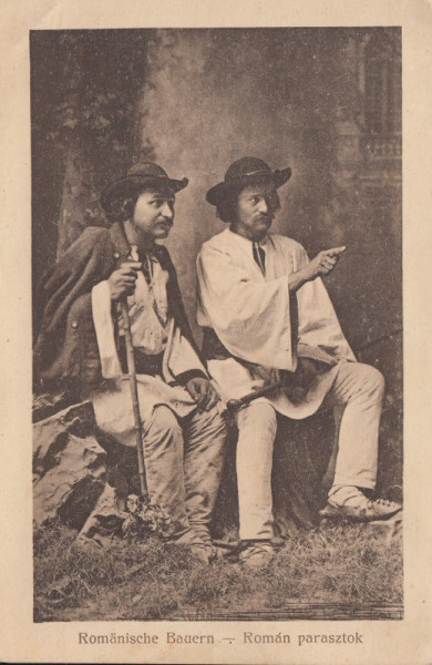 TARANI ROMANI , CARTE POSTALA , 1917