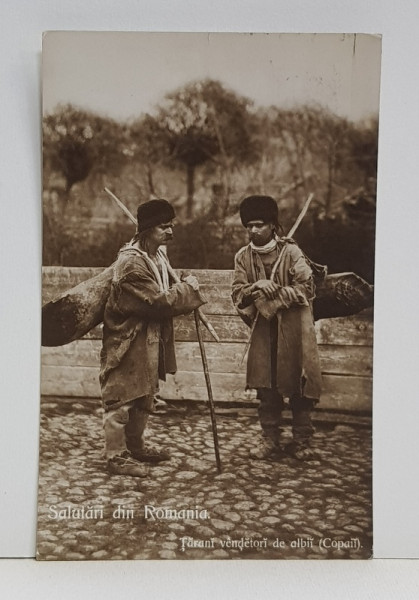 TARANI VANZATORI DE ALBII ( COPAII ) , FOTOGRAFIE TIP CARTE POSTALA , MONOCROMA , CIRCULATA , DATATA 1913