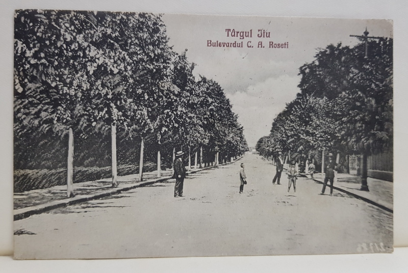 TARGU JIU , BULEVARDUL C.A. ROSETTI , CARTE POSTALA ILUSTRATA , 1928