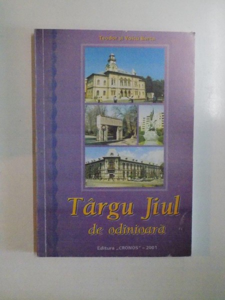 TARGU JIUL DE ODINIOARA de TEODOR BERCA SI VOICU BERCA , 2001