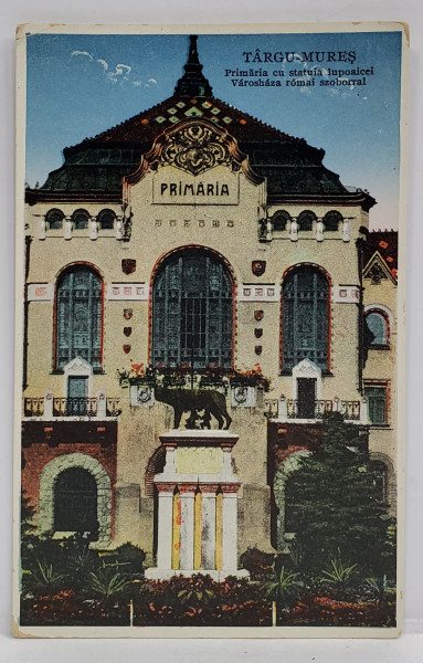 TARGU - MURES , PRIMARIA CU STATUIA LUPOAICEI , CARTE POSTALA , 1931