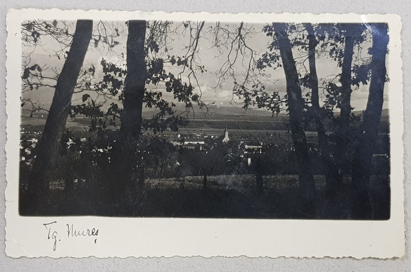 TARGU MURES  - VEDERE PANORAMICA , CARTE POSTALA ILUSTRATA , MONOCROMA , CIRCULATA , 1933