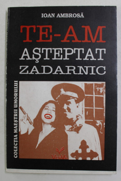 TE -AM ASTEPAT ZADARNIC de IOAN AMBROSA , 1999