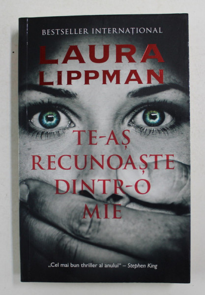 TE-AS RECUNOASTE DINTR- O MIE de LAURA LIPPMAN , 2013