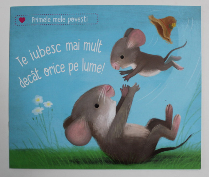 TE IUBESC MAI MULT DECAT ORICE PE LUME ! de KATJA REIDER , ilustratii de SEBASTIEN BRAUN , 2020