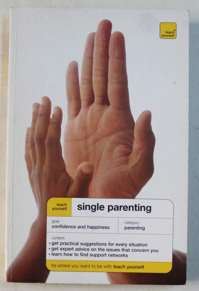 TEACH YOURSELF - SINGLE PARENTING by SUZIE HAYMAN , 2008