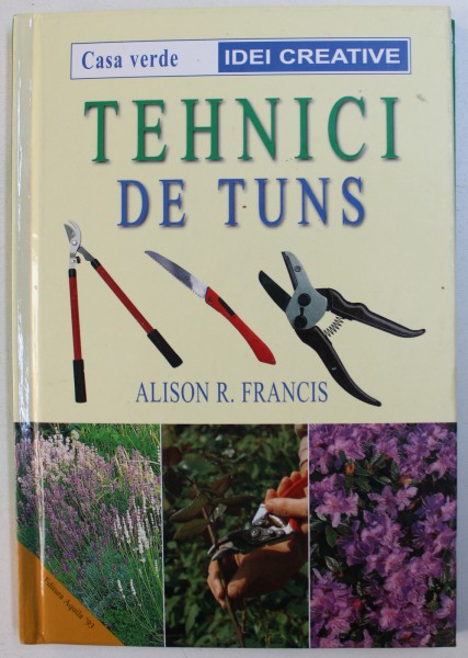 TEHNICI DE TUNS de ALISON R. FRANCIS , 2004
