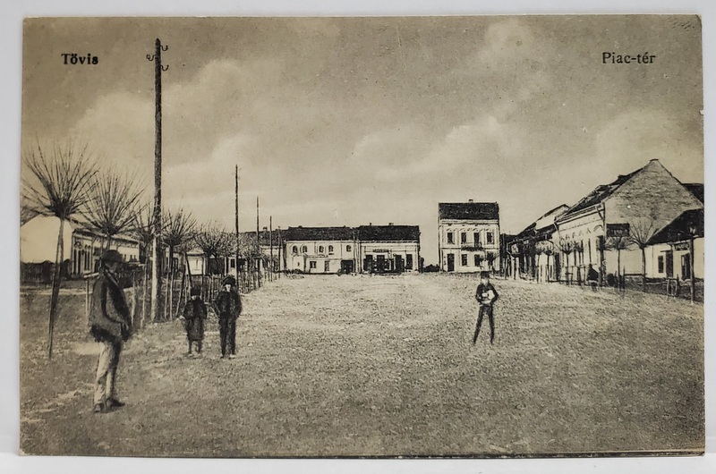 TEIUS , PIATA CENTRALA , CARTE POSTALA , INCEPUTUL SEC. XX