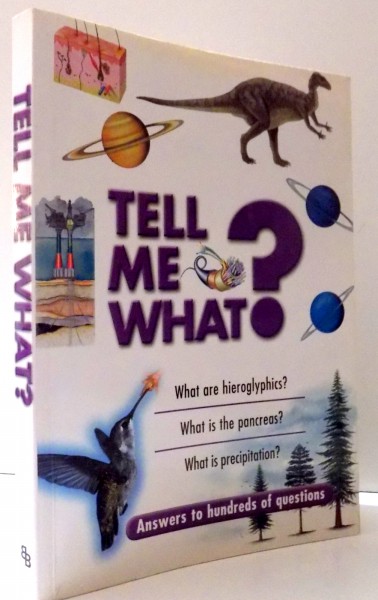 TELL ME WHAT? , 2007