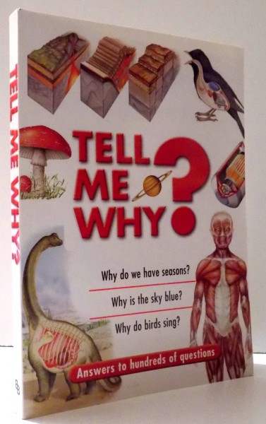 TELL ME WHY? , 2002