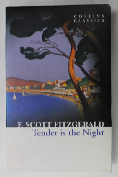 TENDER IS THE NIGHT by E. SCOTT FITZGERALD , 2011
