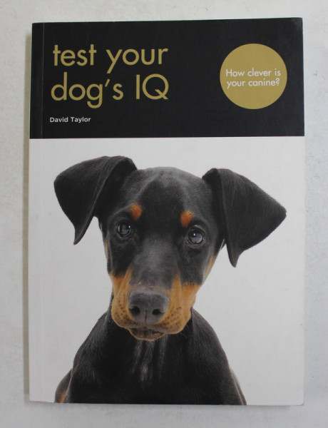 TEST YOUR DOG 'S  IQ by DAVID TAYLOR , 2019