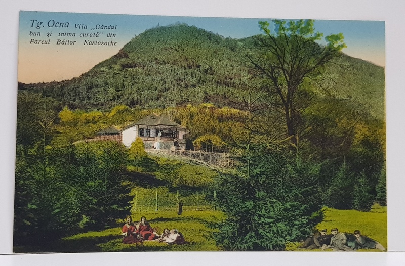 TG. OCNA , VILA ' GANDUL BUN SI INIMA CURATA ' DIN PARCUL BAILOR NASTASACHE , CARTE POSTALA , INTERBELICA