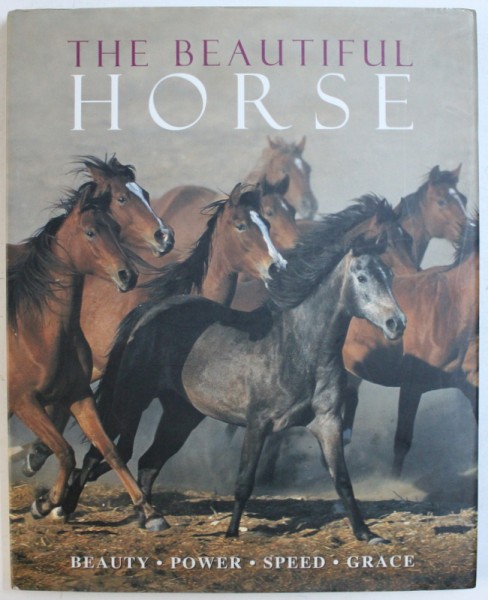 THE BEAUTIFUL HORSE by BOB LANGRISH, NICOLA JANE SWINNEY , 2004