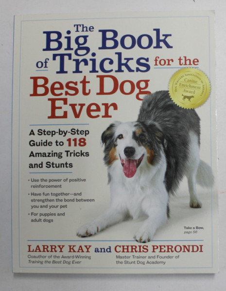 THE BIG BOOK FOR THE BEST DOG EVER by LARRY KAY and CHRIS PERONDI , 2019