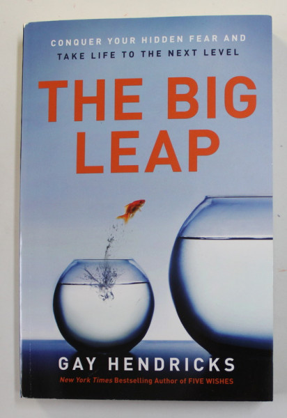 THE BIG LEAP - CONQUER YOUR HIDDEN FEAR AND TAKE LIFE TO THE NEXT LEVEL by GAY HENDRICKS , 2009