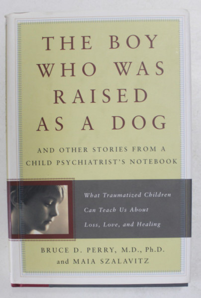 THE  BOY WHO WAS RAISED AS A DOG - AND OTHER STORIES FROM A CHILD PSYCHIATRIST 'S NOTEBOOK by BRUCE D. PERRY and MAIA SZALAVITZ , 2006