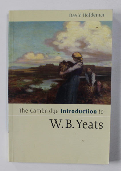 THE CAMBRIDGE INTRODUCTION TO W.B. YEATS by DAVID HOLDEMAN , 2006