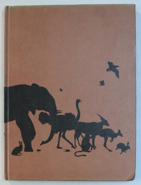 THE COLOURFUL WORLD OF ANIMALS by MAURICE and JANE BURTON , 1975