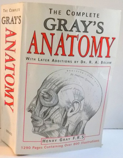 THE COMPLETE GRAY'S ANATOMY , 2003