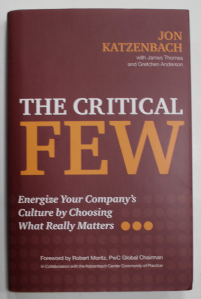 THE CRITICAL FEW , ENERGIZE YOUR COMPANY 'S CULTURE BY CHOOSING WHAT REALLY MATTERS by JON KATZENBACH , 2018