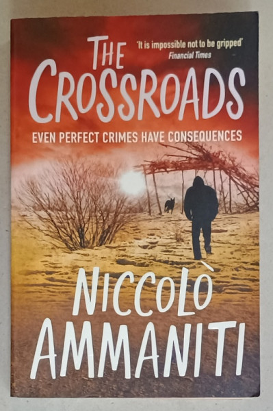 THE CROSSROADS by NICCOLO AMMANITI , 2009