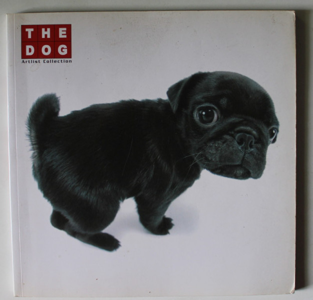 THE DOG , ARTLIST COLLECTION , 2008