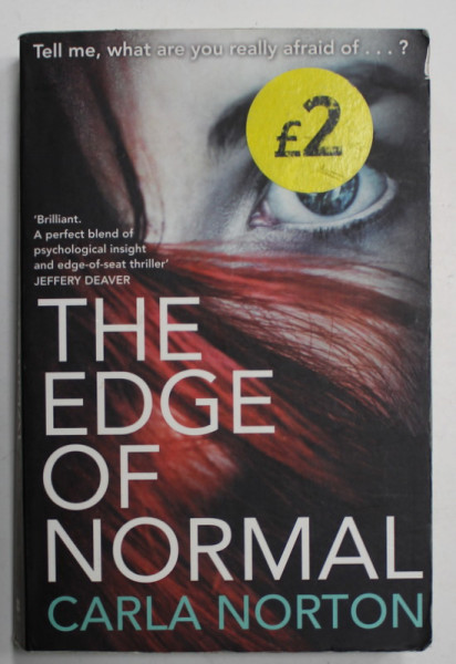 THE EDGE OF NORMAL by CARLA NORTON , 2014