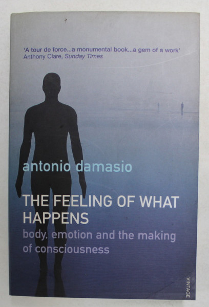 THE FEELING OF WHAT HAPPENS by ANTONIO DAMASIO , 2000