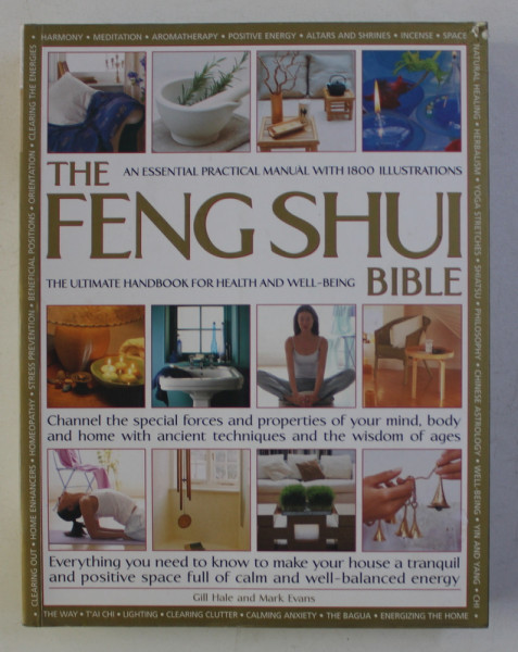 THE FENG SHUI BIBLE by GILL HALE and MARK EVANS , 2011