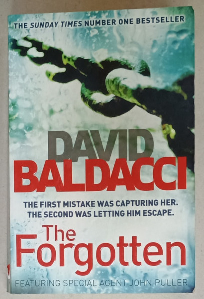 THE FORGOTTEN by DAVID BALDACCI , 2013
