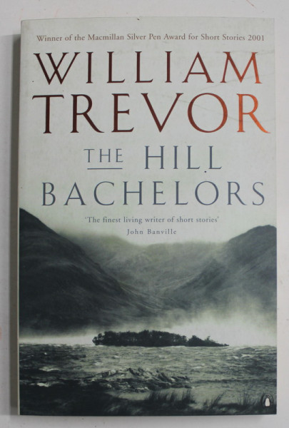 THE HILL BACHELORS by WILLIAM TREVOR , 2001