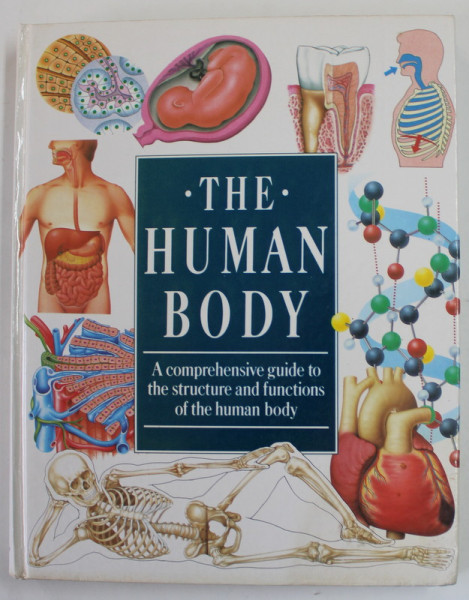 THE HUMAN BODY , A COMPREHENSIVE GUIDE TO THE STRUCTURE AND FUNCTIONS OF THE HUMAN BODY , 1989