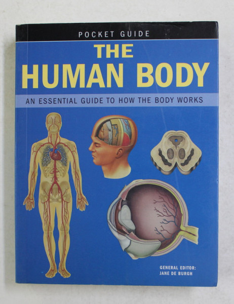 THE HUMAN BODY - POCKET GUIDE , general editor JANE DE BURGH , 2007