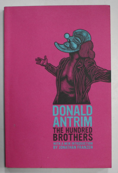 THE HUNDRED BROTHERS by DONALD ANTRIM , 2011