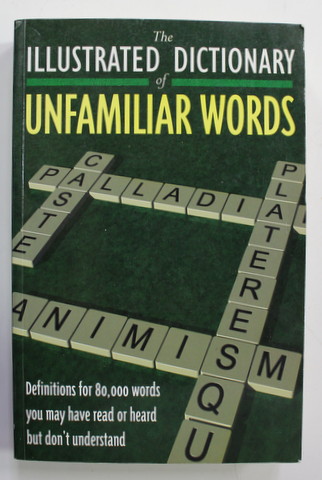 THE ILLUSTRATED DICTIONARY OF UNFAMILIAR WORDS by THE DIAGRAM GROUP , 2000