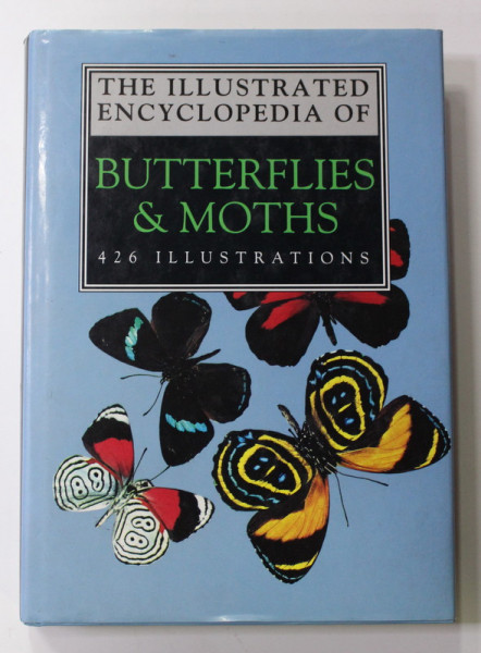 THE ILLUSTRATED ENCYCLOPEDIA OF BUTTERFLIES and MOTHS , 426 ILLUSTRATIONS , by V.J. STANEK , 1992