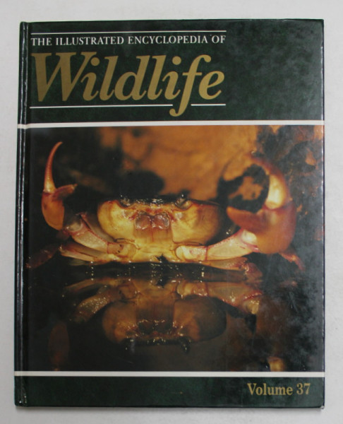 THE ILLUSTRATED ENCYCLOPEDIA OF WILDLIFE , VOLMUL 37 , 1989
