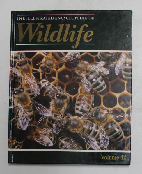 THE ILLUSTRATED ENCYCLOPEDIA OF WILDLIFE , VOLMUL 42  , 1989