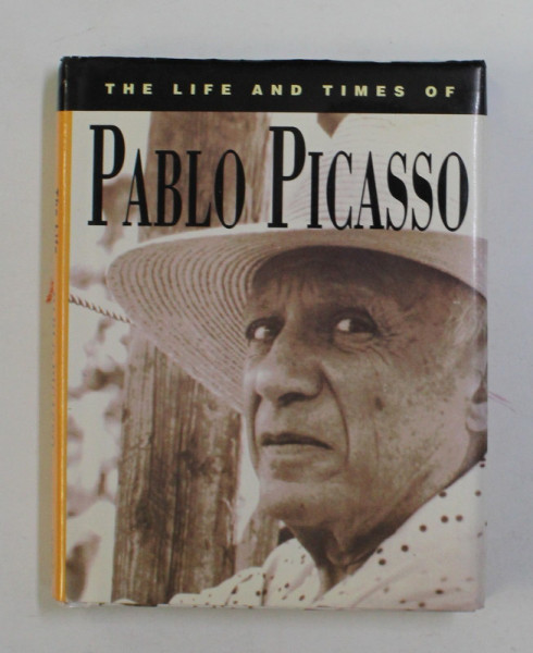 THE LIFE and TIMES OF PABLO PICASSO , by ESME HAWES , 1996, CARTE DE FORMAT MIC