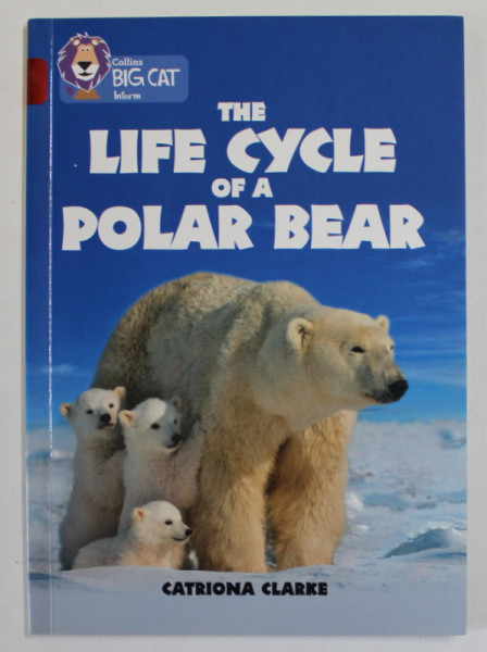 THE LIFE CYCLE OF A POLAR BEAR by CATRIONA CLARKE , 2017