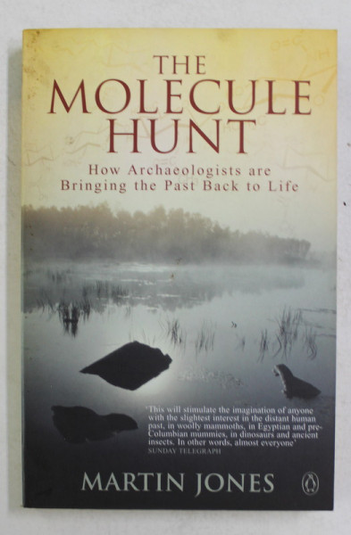 THE MOLECULE HUNT by MARTIN JONES , ARCHAEOLOGY AND THE SEARCH FOR ANCIENT DNA , 2001