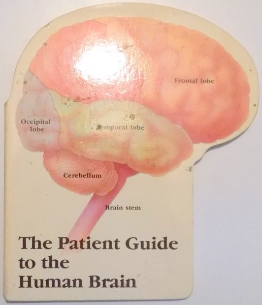 THE PATIENT GUIDE TO THE HUMAN BRAIN , 1990